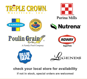 The brands you trust